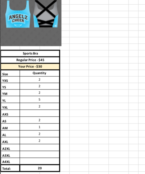 Angelz Cheer Sports Bra