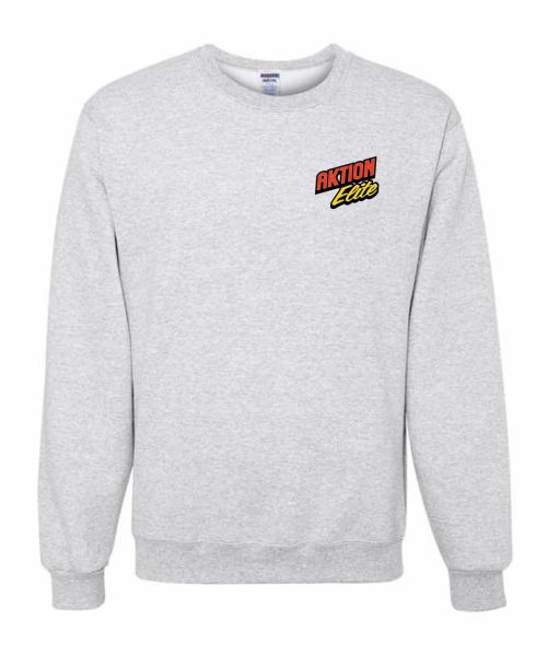 AE Embroidered Crewneck