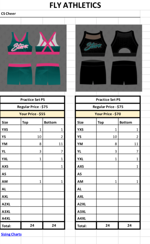 CS Cheer Practice Set