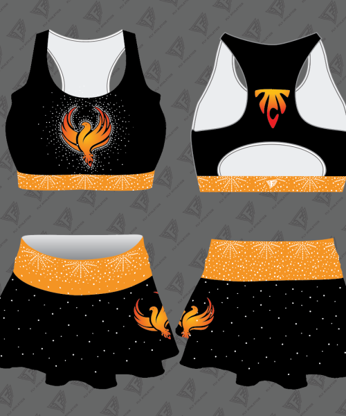 Top Cheer Talent Youth Sample