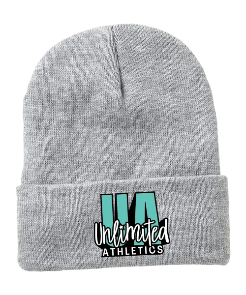 UA Beanie