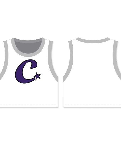 Charlotte Allstars Crop Basketball Jersey