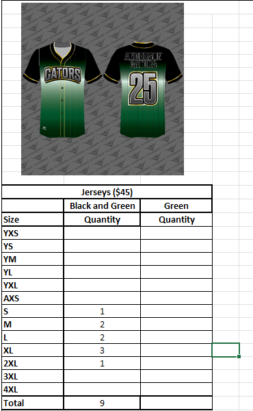 Anderson Gators - 25 Jersey