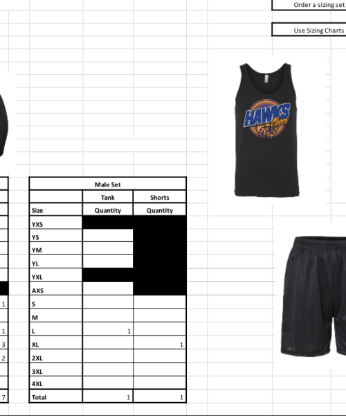 CHS Cooper Hawks - Practice Sets